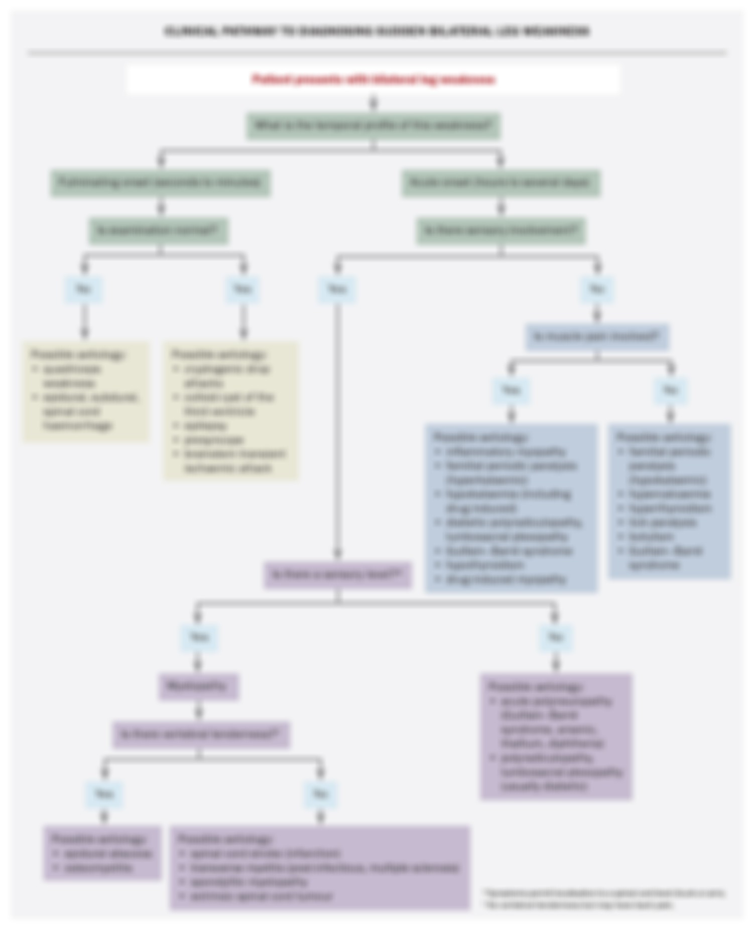 clinical-pathway-to-diagnosing-sudden-bilateral-leg-weakness-medicine